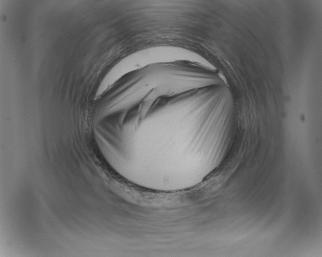 X0000067840044200605111654