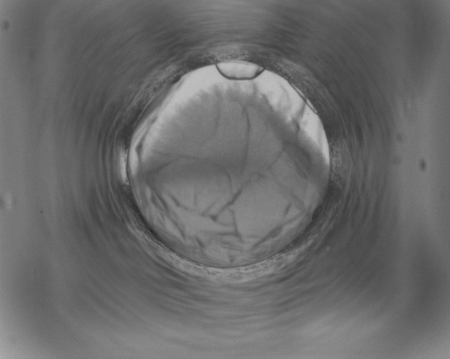 X0000067840046200605111654