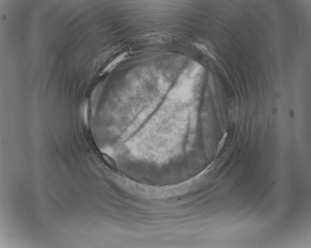 X0000067840047200605111654