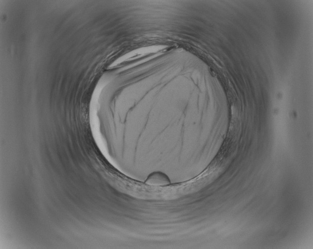 X0000067840048200605111654