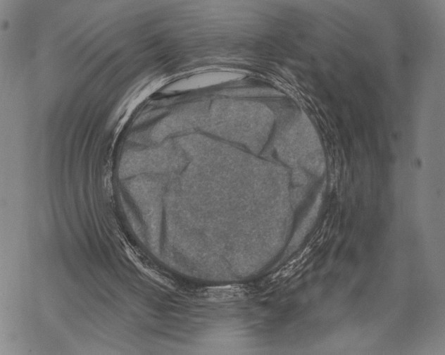 X0000067840050200605111653