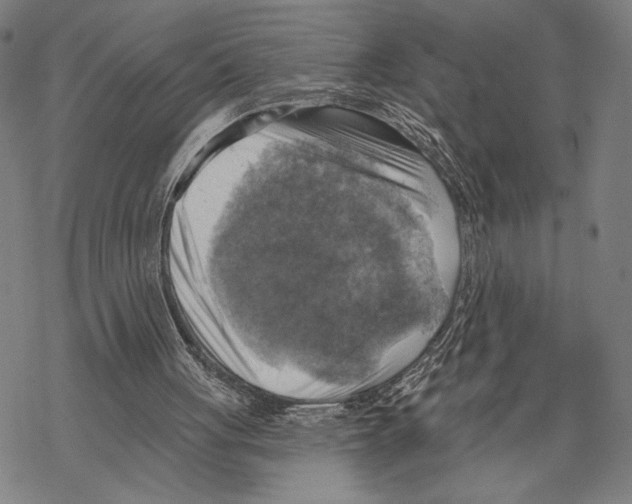 X0000067840051200605111653