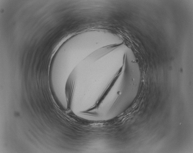 X0000067840052200605111653