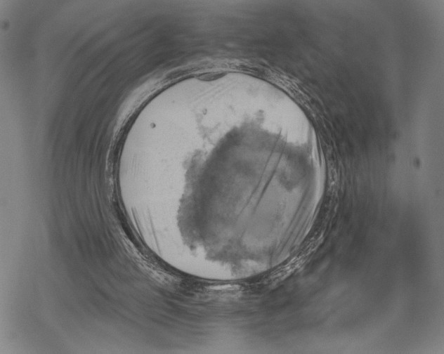 X0000067840053200605111653