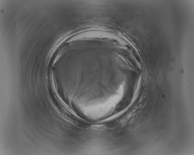 X0000067840055200605111653