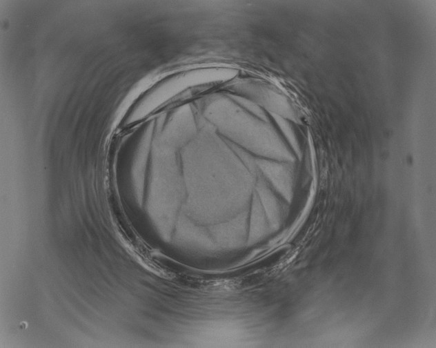 X0000067840056200605111653