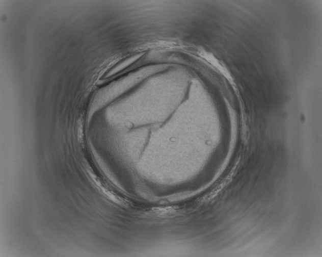 X0000067840057200605111653