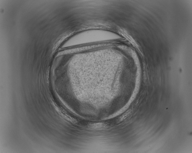 X0000067840058200605111653