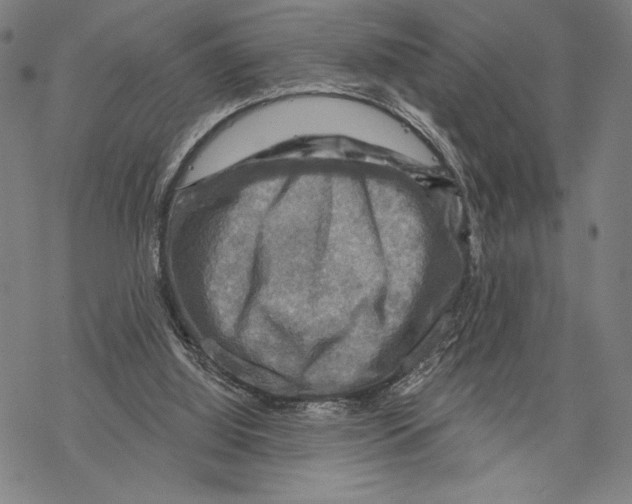 X0000067840060200605111653