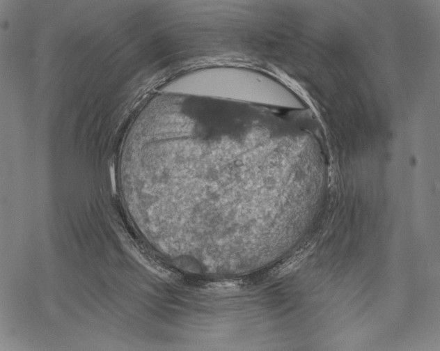 X0000067840061200605111653