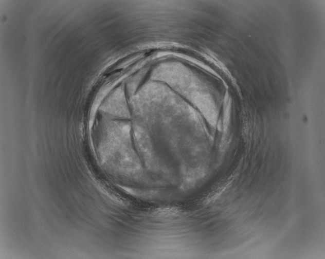 X0000067840063200605111653