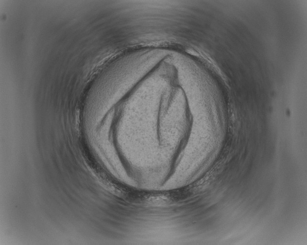 X0000067840066200605111653