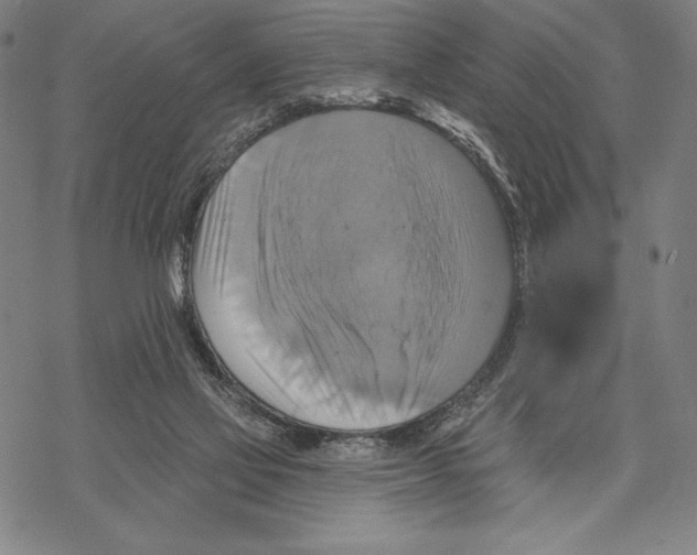 X0000067840069200605111653