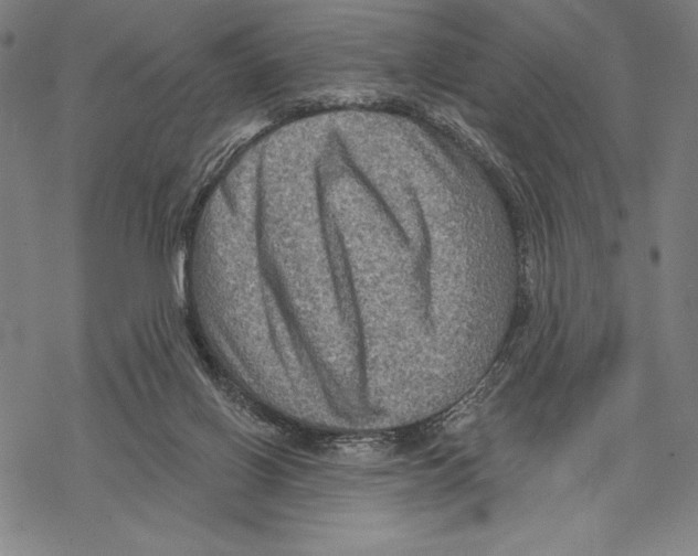 X0000067840070200605111653