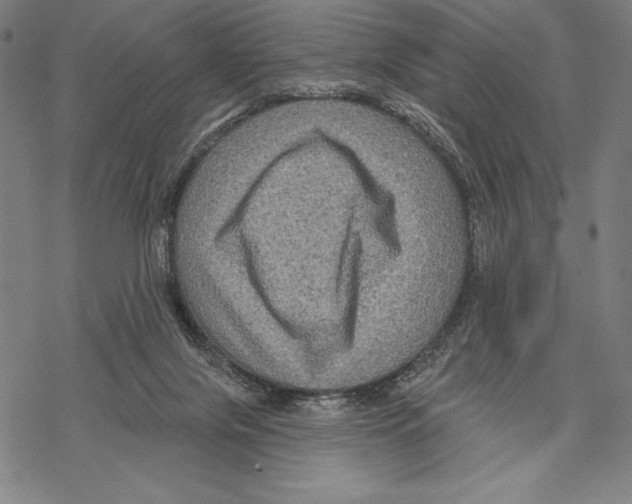 X0000067840071200605111653