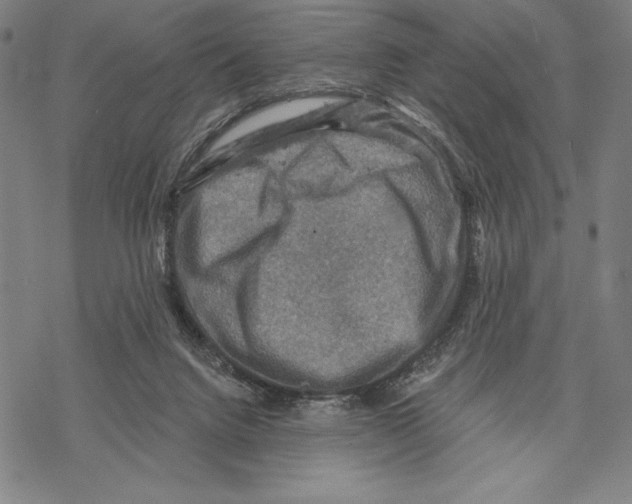 X0000067840072200605111653