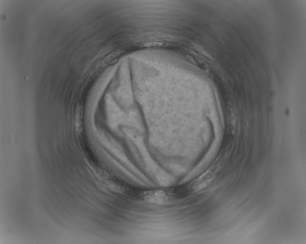 X0000067840074200605111653