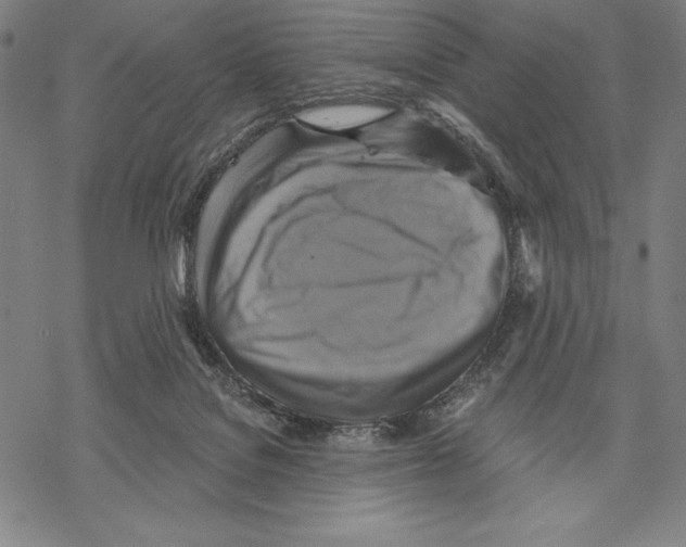 X0000067840076200605111653