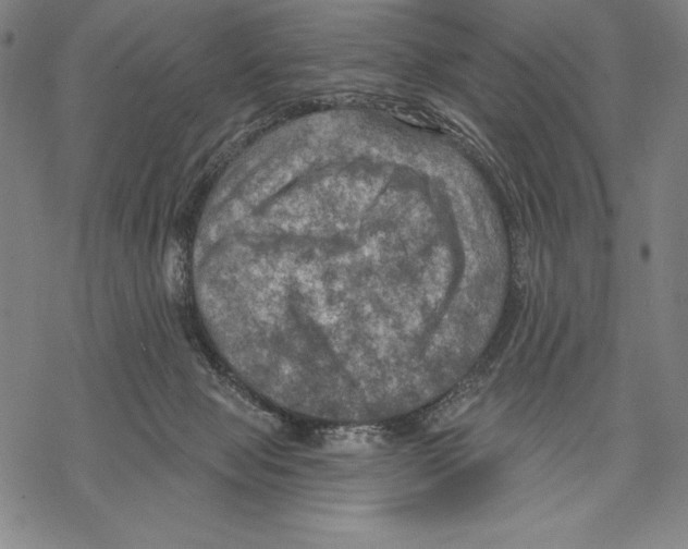 X0000067840077200605111653