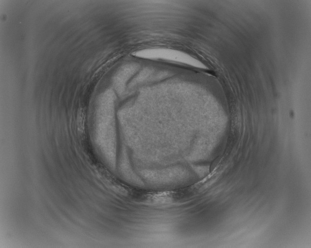 X0000067840078200605111653