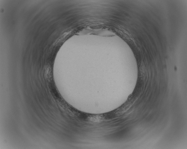 X0000067840079200605111653