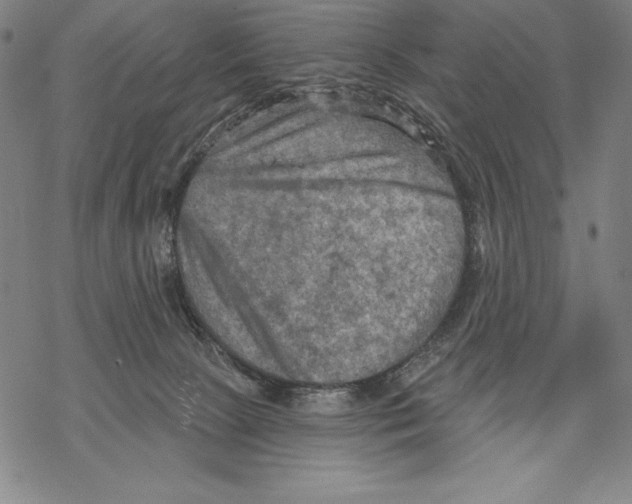 X0000067840081200605111653