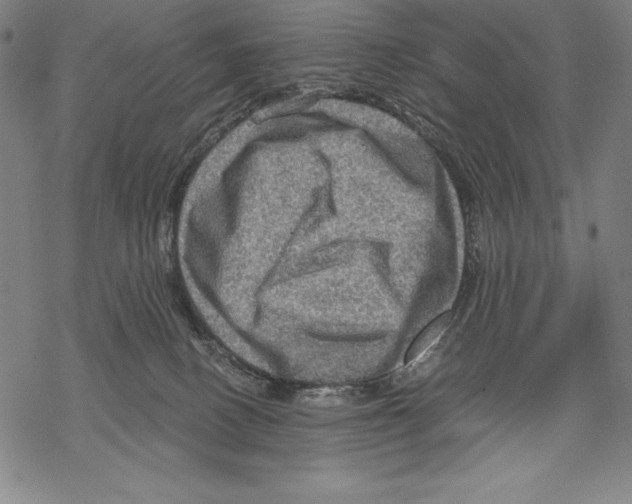 X0000067840082200605111653