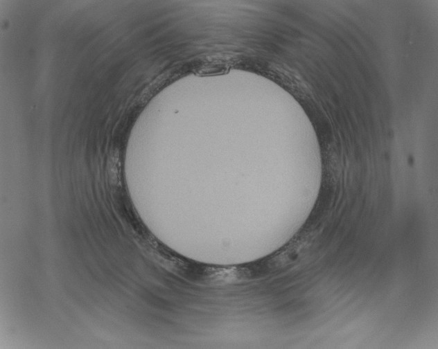 X0000067840083200605111653