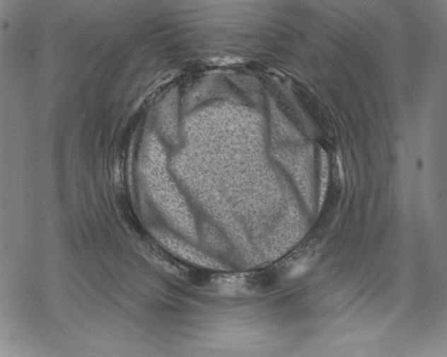 X0000067840084200605111653