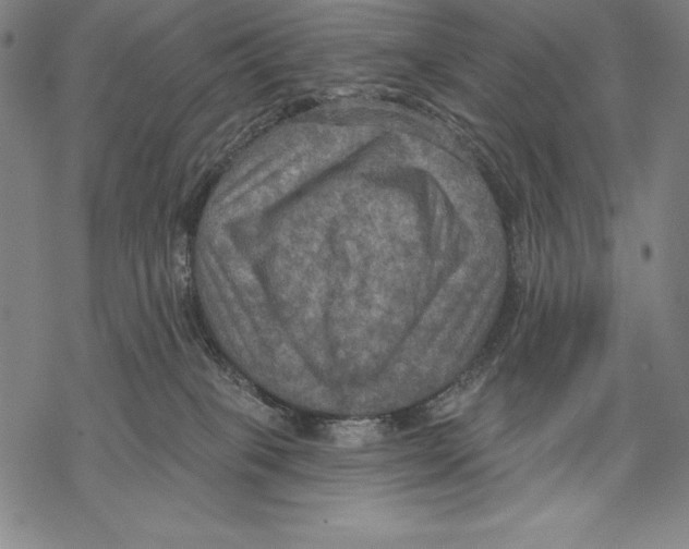 X0000067840085200605111653