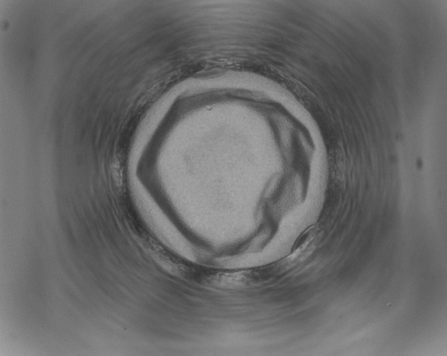 X0000067840086200605111653