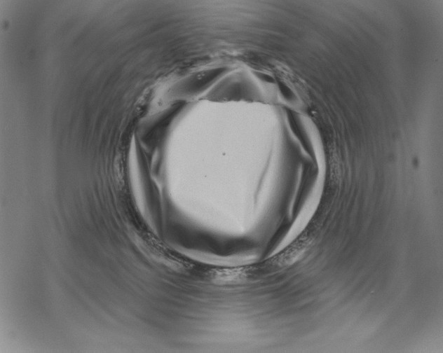 X0000067840088200605111653