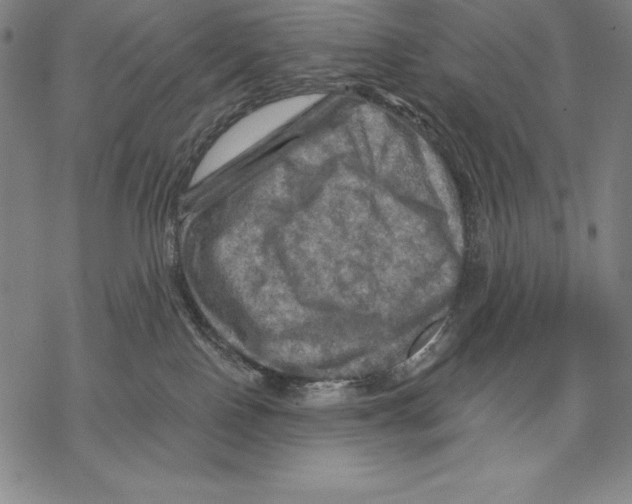 X0000067840090200605111654