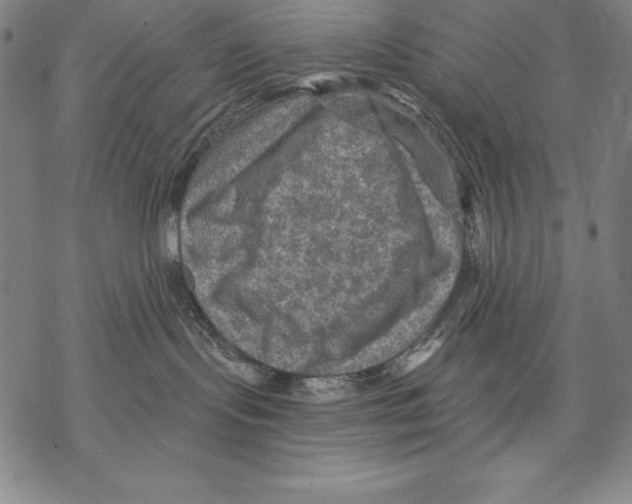 X0000067840095200605111654