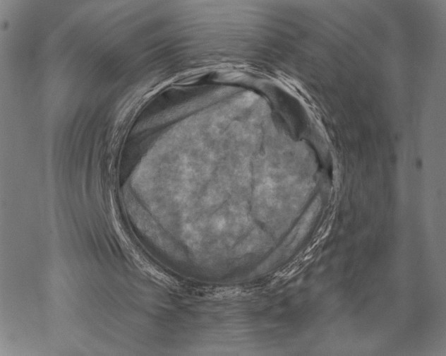 X0000067840097200605111653