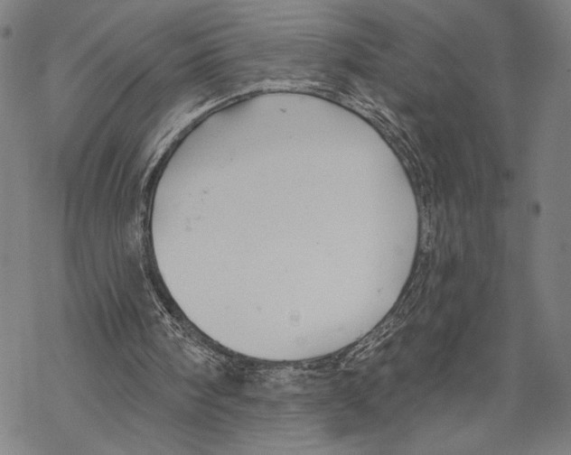 X0000067840098200605111653