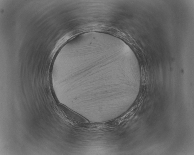 X0000067840099200605111653