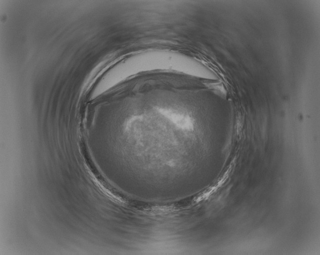 X0000067840101200605111653