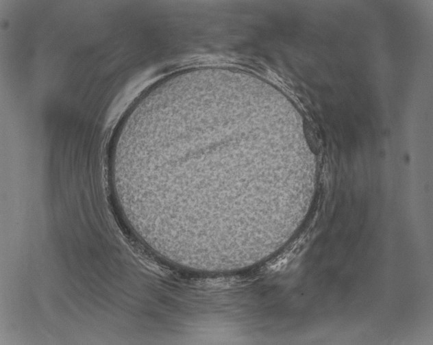 X0000067840103200605111653