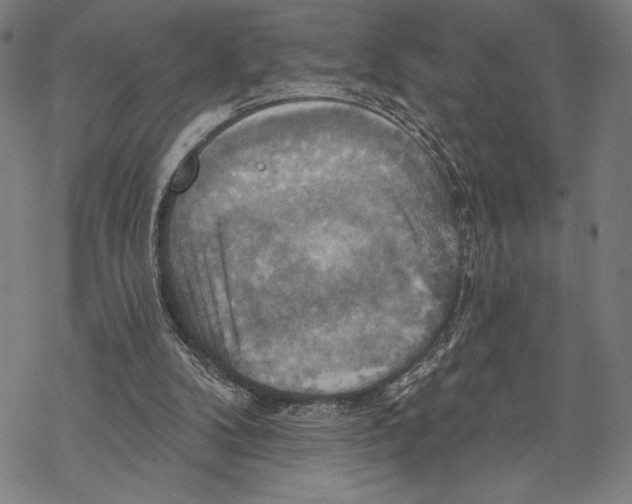 X0000067840104200605111653