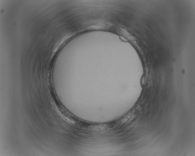 X0000067840106200605111653