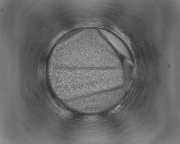 X0000067840107200605111653