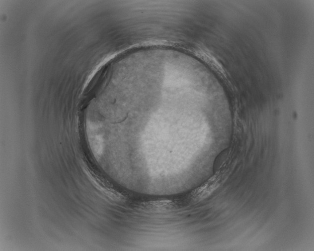 X0000067840108200605111653