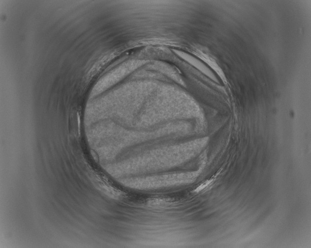 X0000067840109200605111653