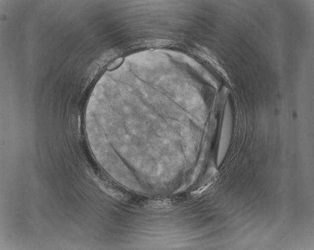 X0000067840110200605111653