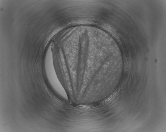 X0000067840111200605111653