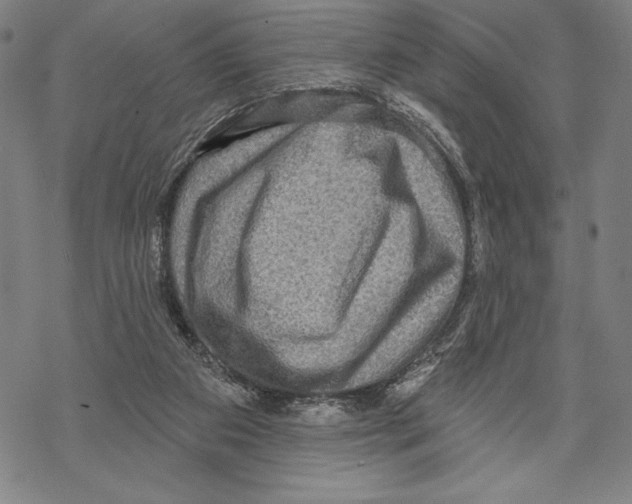 X0000067840113200605111653