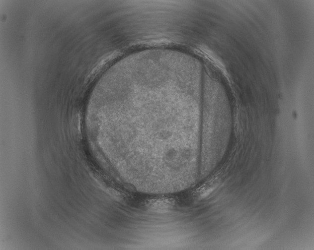 X0000067840115200605111652