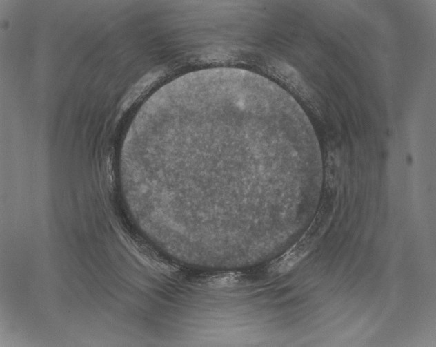 X0000067840116200605111652