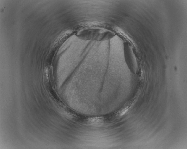 X0000067840117200605111652